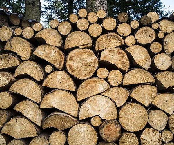 Long-lived wood products are significant carbon capturers