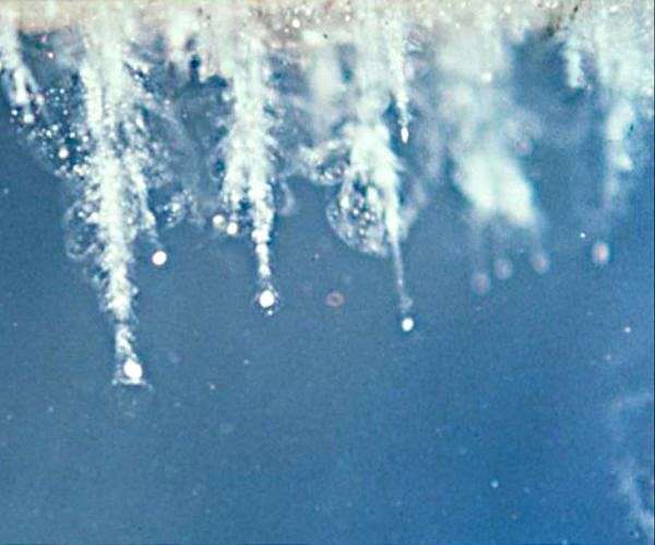 Searching for life with space dust