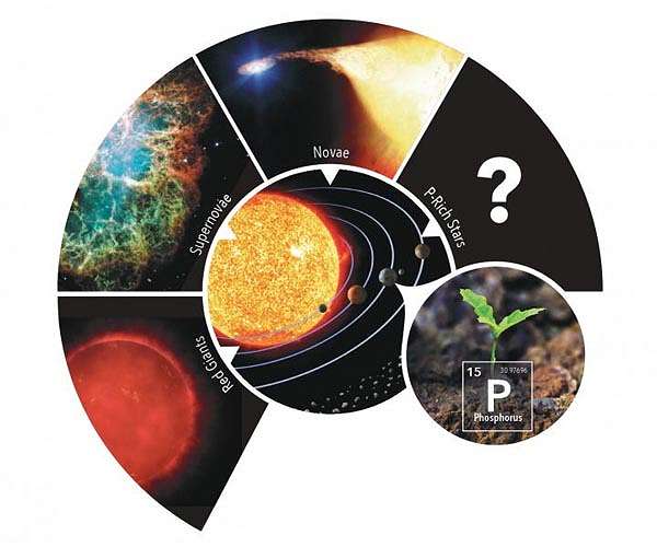 Stars rich in phosphorus: Seeds of life in the universe