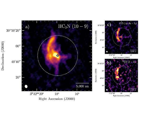 A growing stellar system directly fed by the mother cloud