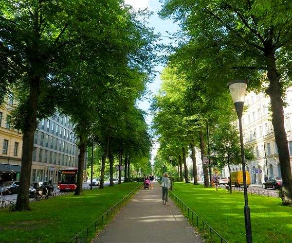 Study shows making cities greener doesn't just capture carbon - it reduces it