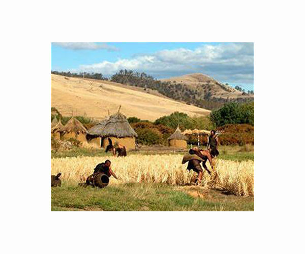 DNA helps researchers understand interactions between Stone Age cultures