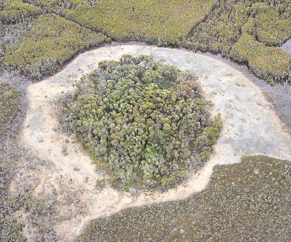 New research helps date ancient art in Puerto Rico's karstic caves