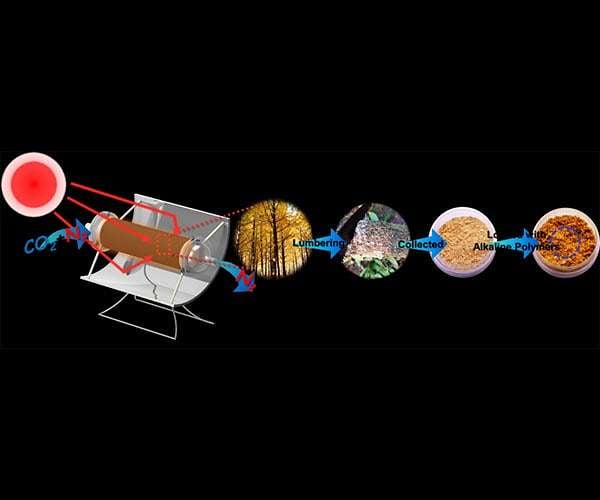 Scientists use sunlight and modified sawdust to reversibly capture carbon dioxide