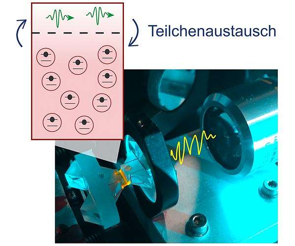 Physical effect also valid in the quantum world