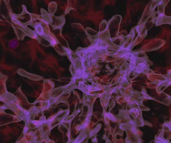 Could a multiverse be hospitable to life?