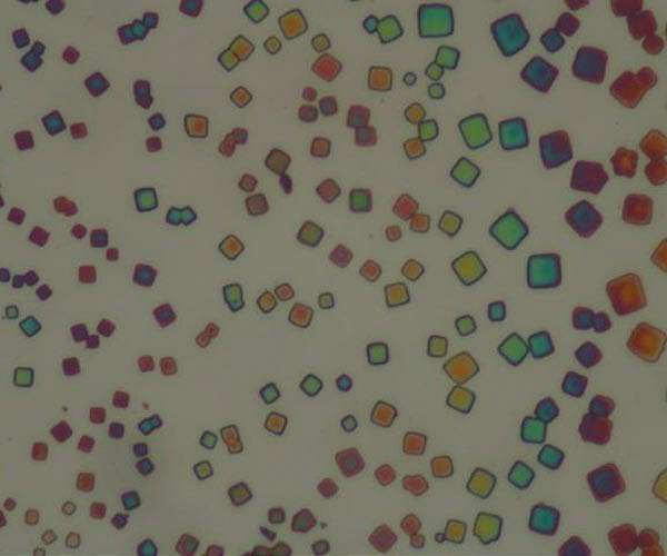 Sandwich structure of nanocrystals as quantum light source