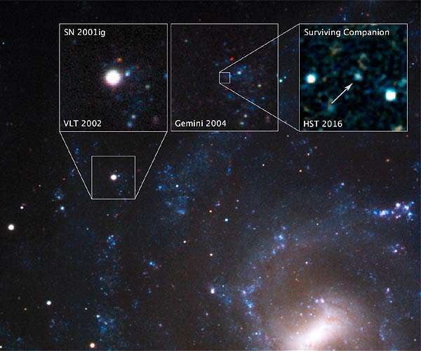 Stellar thief is the surviving companion to a supernova