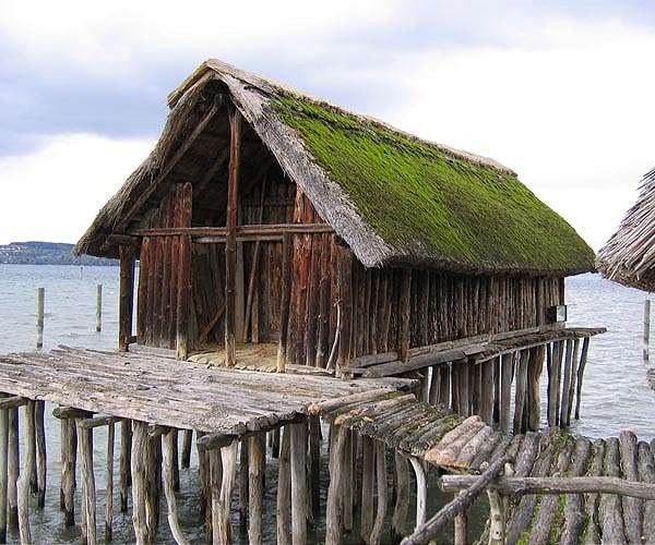 Grains hints at origin of 7,000-year-old Swiss pile dwellings