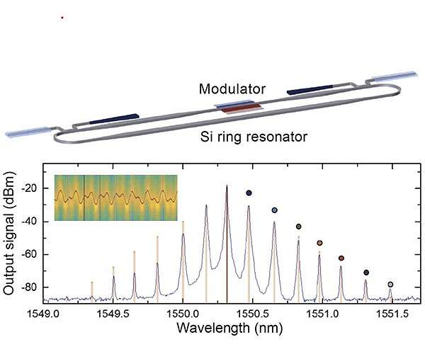 Shining a light on synthetic dimensions