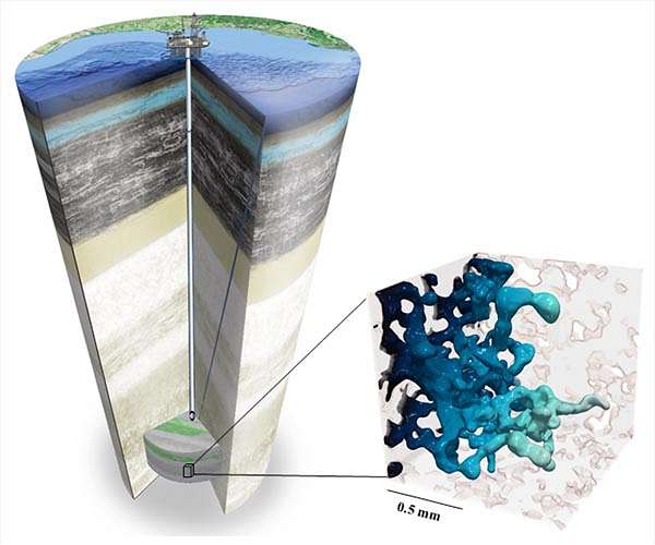 Computing carbon storage