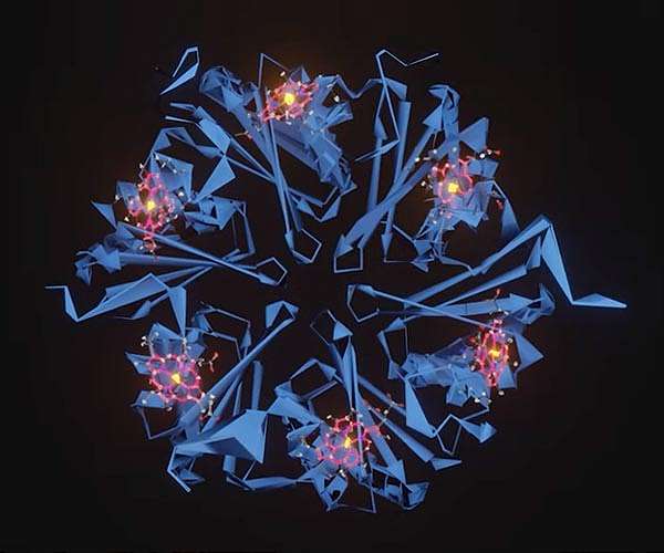 Taming electrons with bacteria parts
