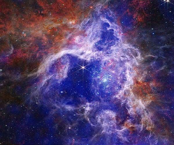 The enduring stellar lifecycle in 30 Doradus