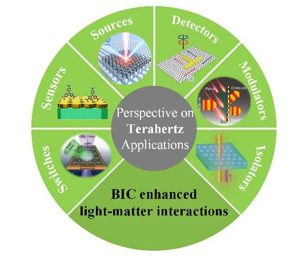Innovations in Photonics: Harnessing Bound States in the Continuum