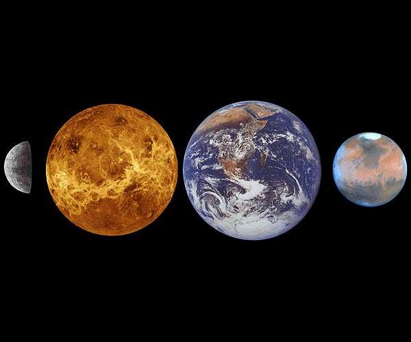 Life on Venus and the interplanetary transfer of biota from Earth