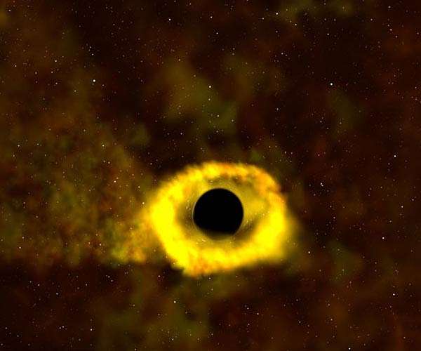TESS spots its first star-shredding black hole