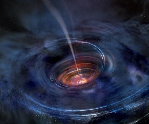We now know the origin of black hole magnetic fields their parent stars