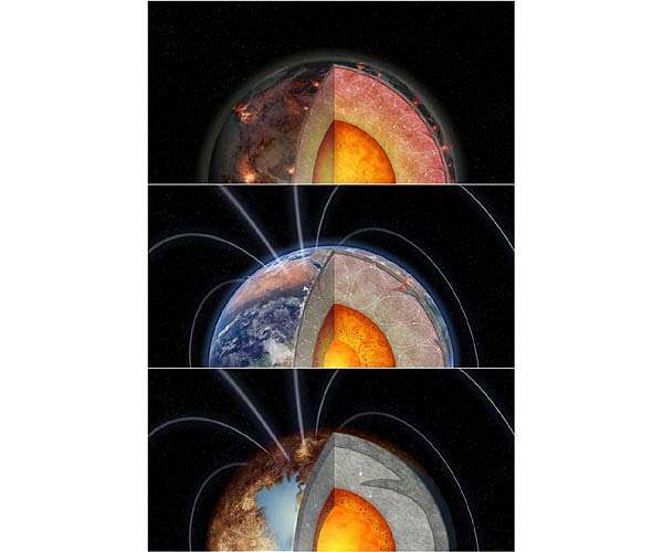 Radioactive elements may be crucial to the habitability of rocky planets