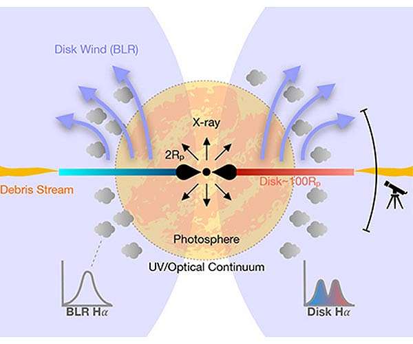 New observations of black hole devouring a star reveal rapid disk formation