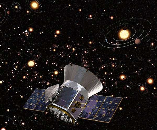 TESS first light on stellar physics
