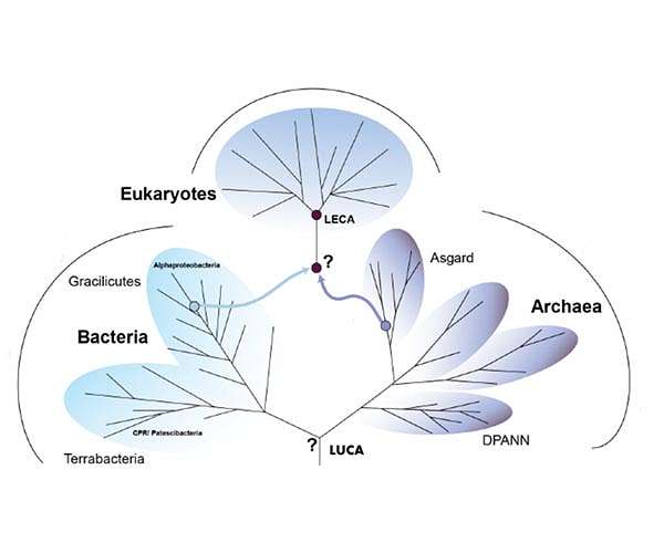 Exploring the existence of life at higher temps