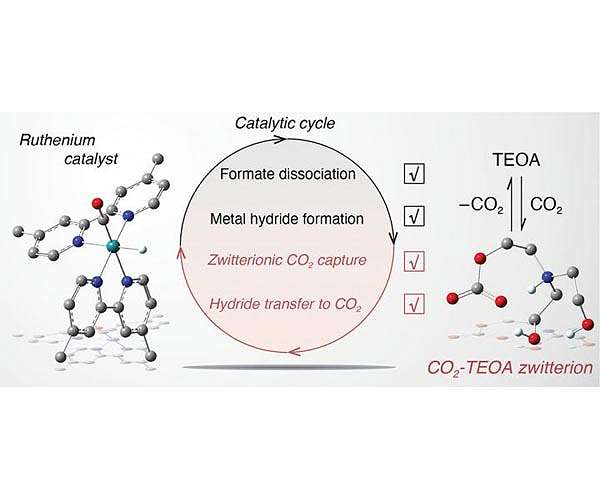 Monitoring intermediates in CO2 conversion to formate by metal catalyst