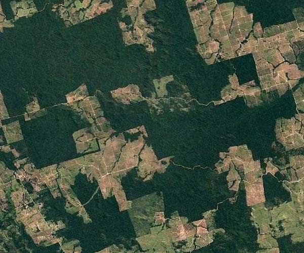 Increasing tropical land use is disrupting the carbon cycle