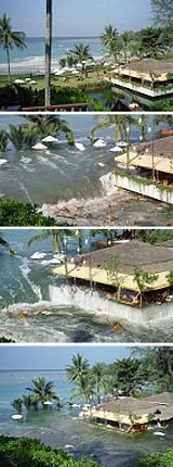 Analysis: Tsunami Waves' Tragic Turns Of Fate