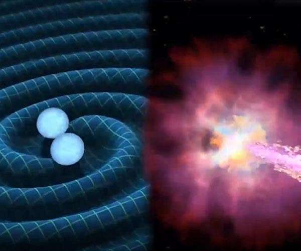 POLAR experiment reveals orderly chaos of black holes