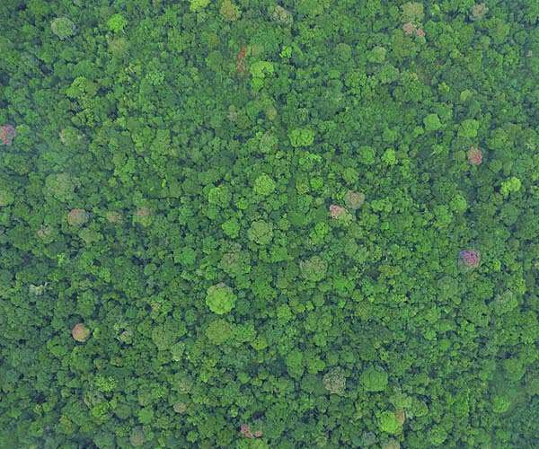 Carbon capture: how does CO2 removal work?