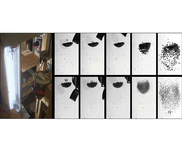 Universal laws in impact dynamics of dust agglomerates under microgravity conditions
