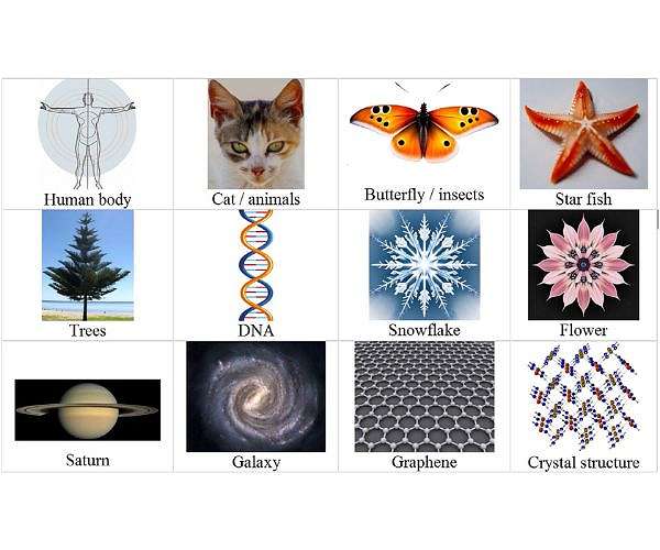 Could a new law of physics support the idea we're living in a computer simulation?