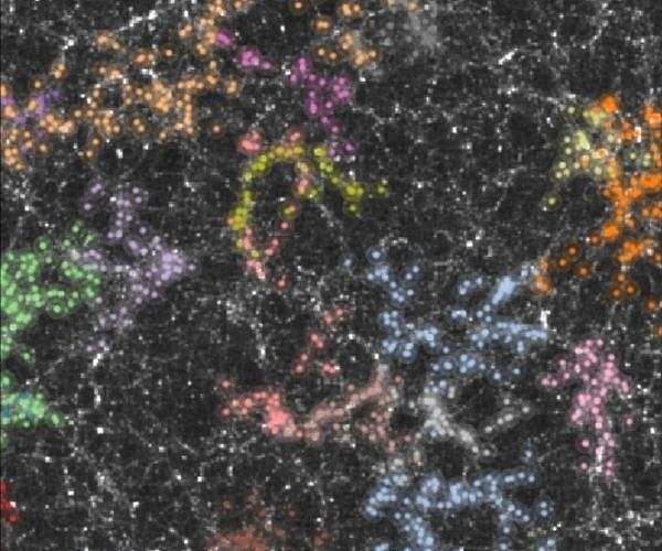 New Constraints on Dark Matter Properties from Latest Observations