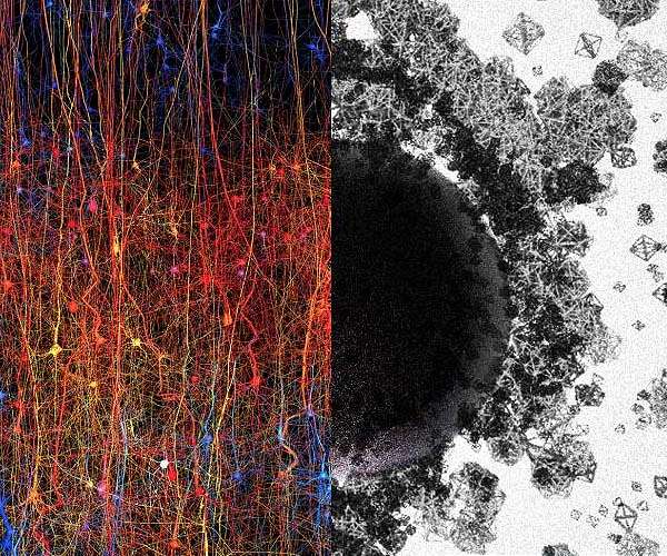 Revisiting multi-dimensional classification with a focus on dimensions