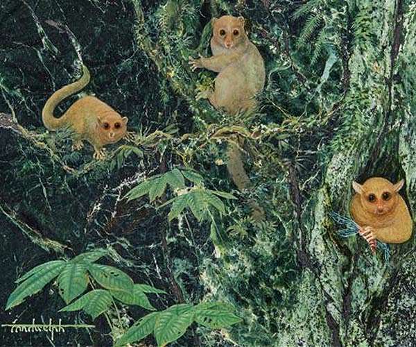 Three previously unknown ancient primates identified