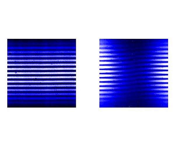 One particle on two paths: Quantum physics is right