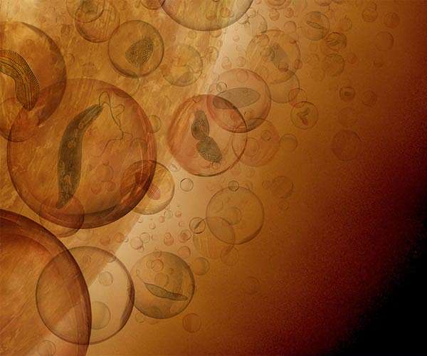 Could acid-neutralizing life-forms make habitable pockets in Venus' clouds?