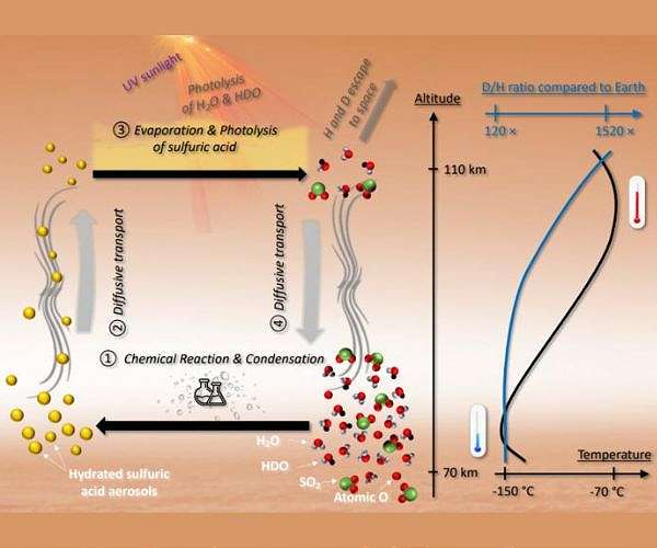 Venus' Mesosphere Shows Sharp Rise in Deuterium to Hydrogen Ratio