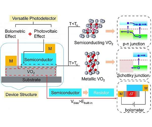 A versatile photodetector assisted by photovoltaic and bolometric effects