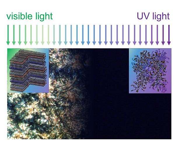 Controlling thermal conductivity of polymers with light