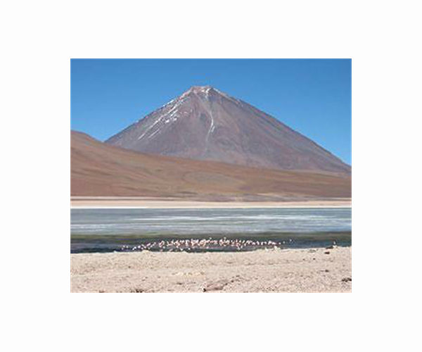 Mummified mice discovered atop sky-high Andean volcanoes