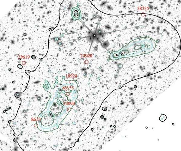 Cosmic lighthouses that cleared primordial fog identified with JWST