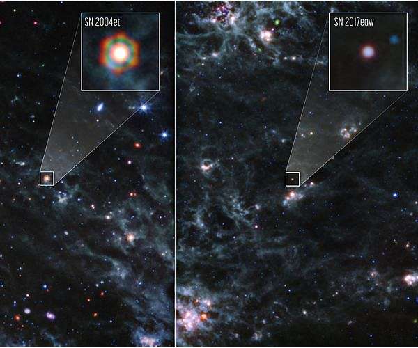 Webb locates dust reservoirs in two supernovae