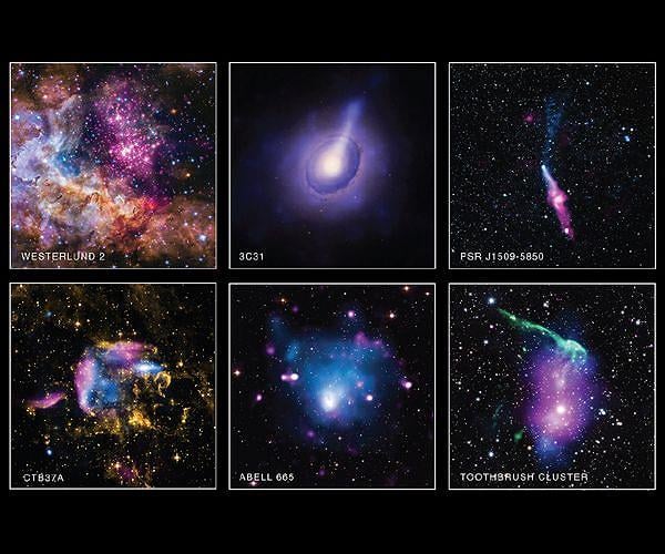 Distance from Brightest Stars Is Key to Preserving Primordial Discs