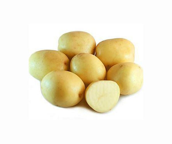 Why humans love carbs: A genetic trait that predates agriculture