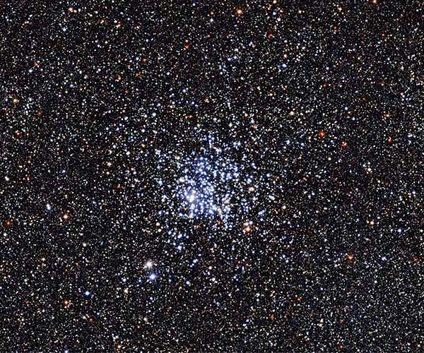 Aging a Flock of Stars in the Wild Duck Cluster