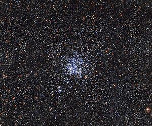 Wild ducks take flight in open cluster