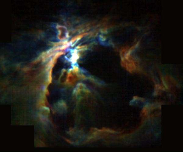Lifting the veil on star formation in the Orion Nebula