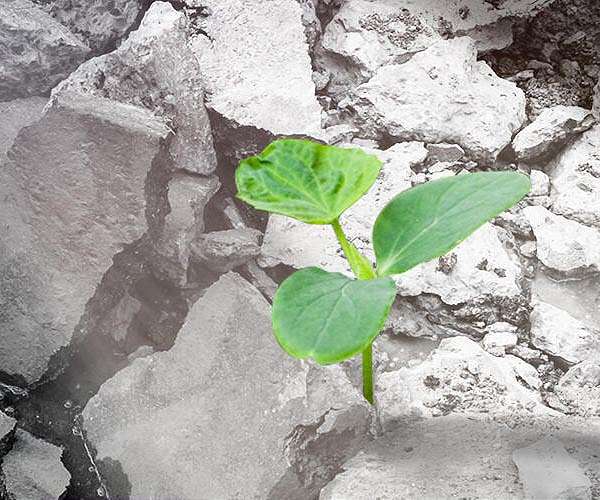 Solidia Technologies announces possibility of turning concrete into a carbon sink