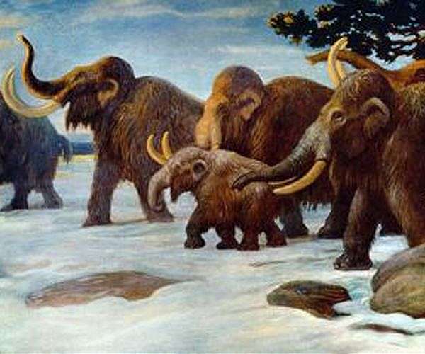 Iceland's 'Mammoth' raises potential for carbon capture